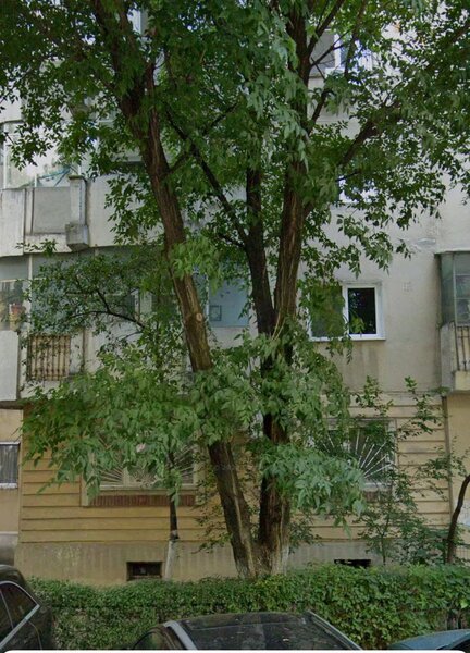 Tineretului, Oraselul Copiilor, apartament 4 camere 92 mp, parter.